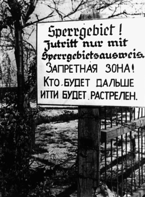 Немцы на оккупированной территории СССР