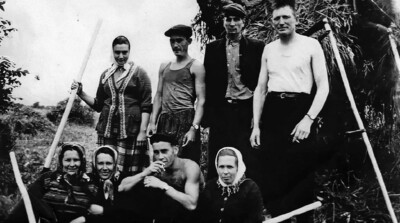 На сенокосе. А.Н. Хоровлёв первый справа. Долинский район, 1950-е годы