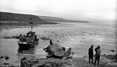 Итуруп в 1950-е. Хроника фотографа и журналиста С. Фридлянда